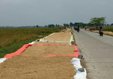 Pemkab Majalengka Klaim...