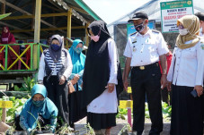 Dinas Ketahanan Pangan...