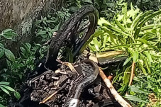 Puntung Rokok Bakar...