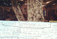 Hari Kemerdekaan, Melihat...