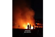 Si Jago Merah Mengamuk...