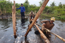 Cegah Kebakaran Hutan,...