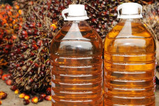 Stok Minyak Sawit pada...