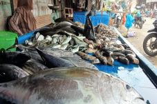 Cuaca Ekstrem, Hasil...