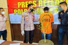 Sempat 3 Kali Panen...