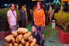 Bawa Ganja Seberat 30...