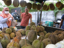 Menunggu Durian Runtuh...