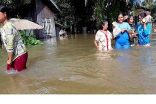 Penebangan Pohon Tanpa...