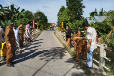 Dinas PUPR Luwu Tinjau...
