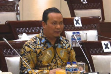 Nyoman Adhi Suryadnyana...