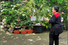 Dikabarkan Kritis di...