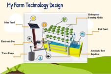 My Farm, Sistem Pertanian...