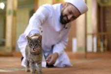 Kisah Syekh Abu Bakar...