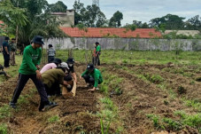BRGM Gandeng PGI Gelar...