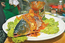Yin dan Yang, Ikan Goreng...
