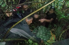 Tangis Pecah di Papua,...