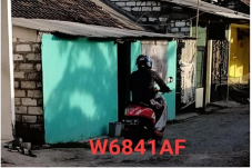 Aksi Pamer Alat Vital...