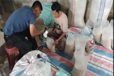 Jelang HUT ke-7, Perindo...