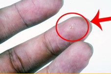 Kenalkan Microflier,...