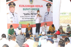 Petani Tembakau di Gresik...