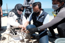 PLN Serahkan Bantuan...
