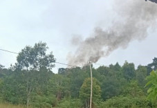 KKB Kembali Meneror,...