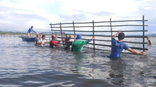 Rehabilitasi Mangrove...
