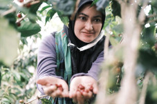 Petani Kopi Rongkong...