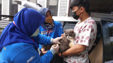 Sumut Masuk 5 Besar...