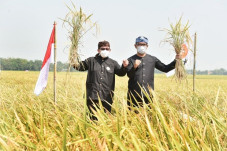 Salim Segaf PKS dan...