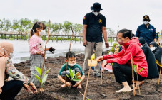 Kendalikan Abrasi, Jokowi...