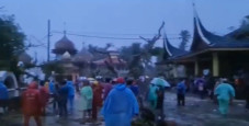 Geger, Pohon Tumbang...