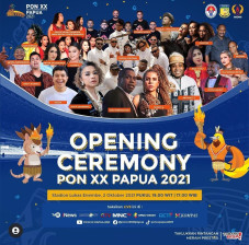 Pesta Kembang Api No...