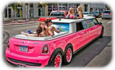 Ini Deretan Limousine...