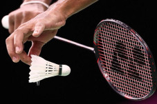 Royce Badminton Academy,...