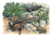 Bukan T-Rex, Dinosaurus...