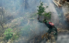 TNI dan Polri Memburu...