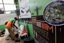 Pemkot Jakarta Barat...
