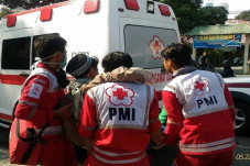 PMI Buka Lowongan Nih!...