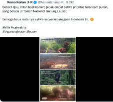 Ini Tempat Terakhir...