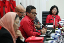 Celeng vs Bebek Mencuat,...