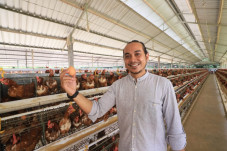 Petani Tampan di Lombok...