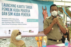 Kuda di Jakarta Sekarang...