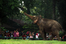 Taman Margasatwa Ragunan...