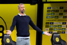 Digunduli Ajax, Pelatih...