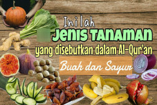 Buah dan Sayuran yang...