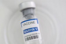 Afsel Tolak Vaksin Sputnik...