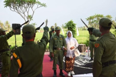 Gempar Pernikahan Hansip...