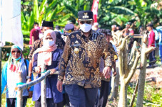 30 Ton Kacang Hijau...