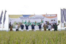 Program Makmur Berhasil...